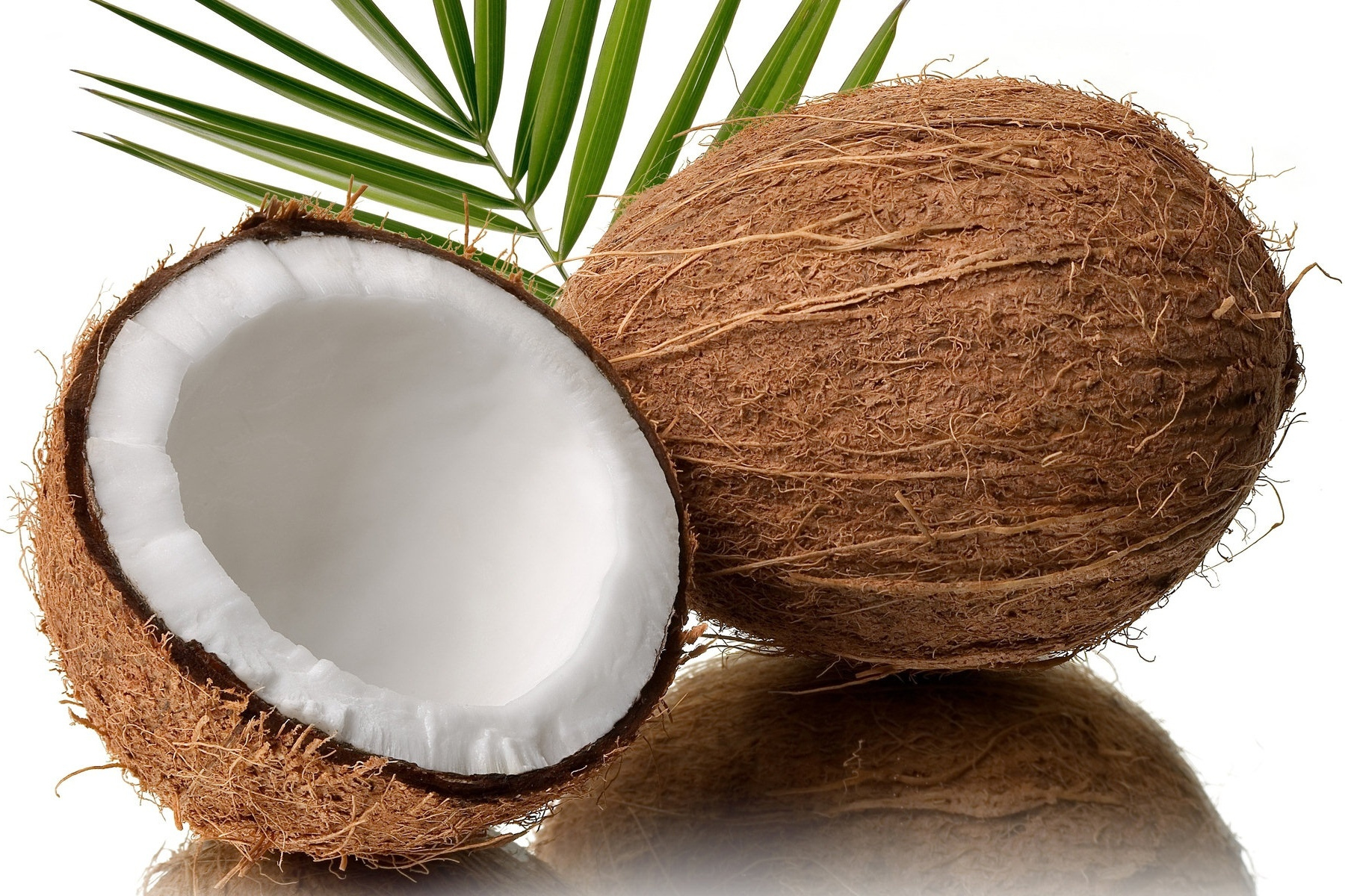 Варианты поделок из кокоса, чтобы разнообразить интерьер