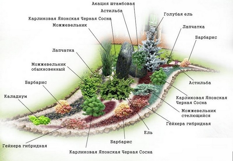 Рокарий своими руками – 50 фото-идей и 11-шаговая инструкция
