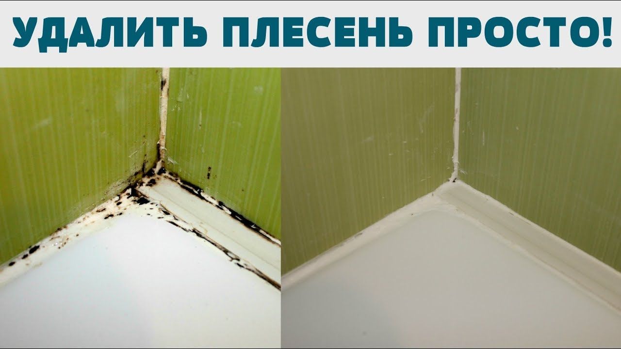 Чем обработать грибок на потолке и как избавиться от плесени в ванной