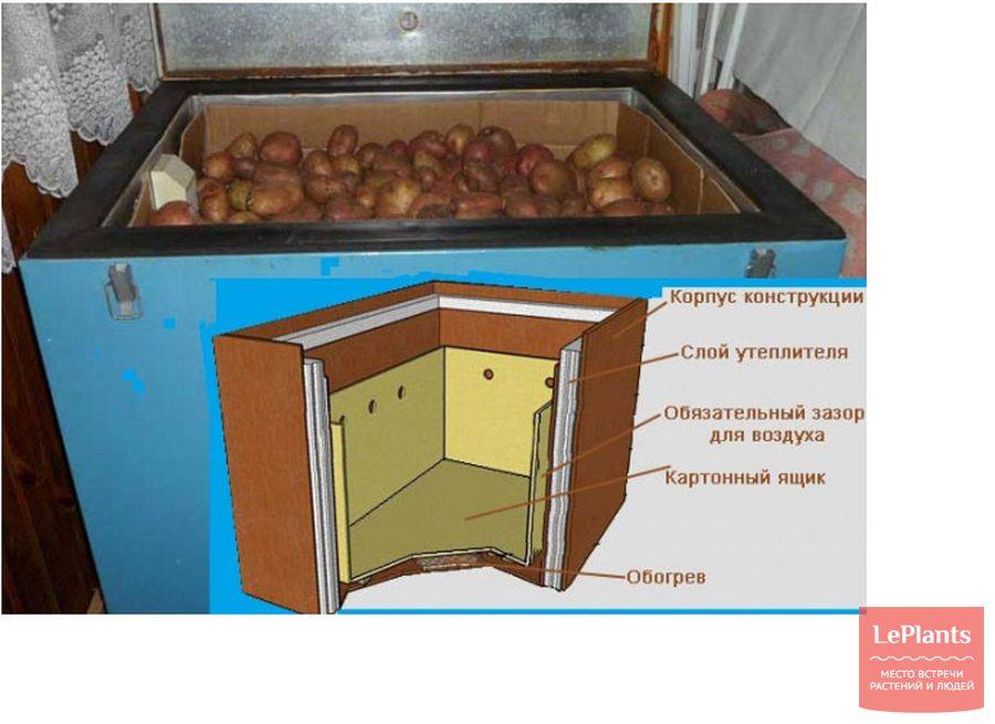 Опробованные советы по успешному хранению картофеля и лайфхак по комнатному картофелеводству