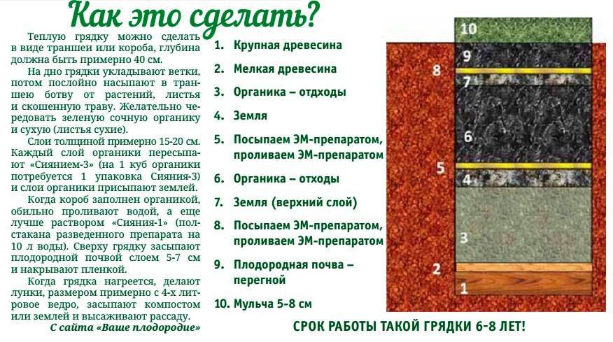 Как сделать грядки в теплице из поликарбоната: инструкция + фото