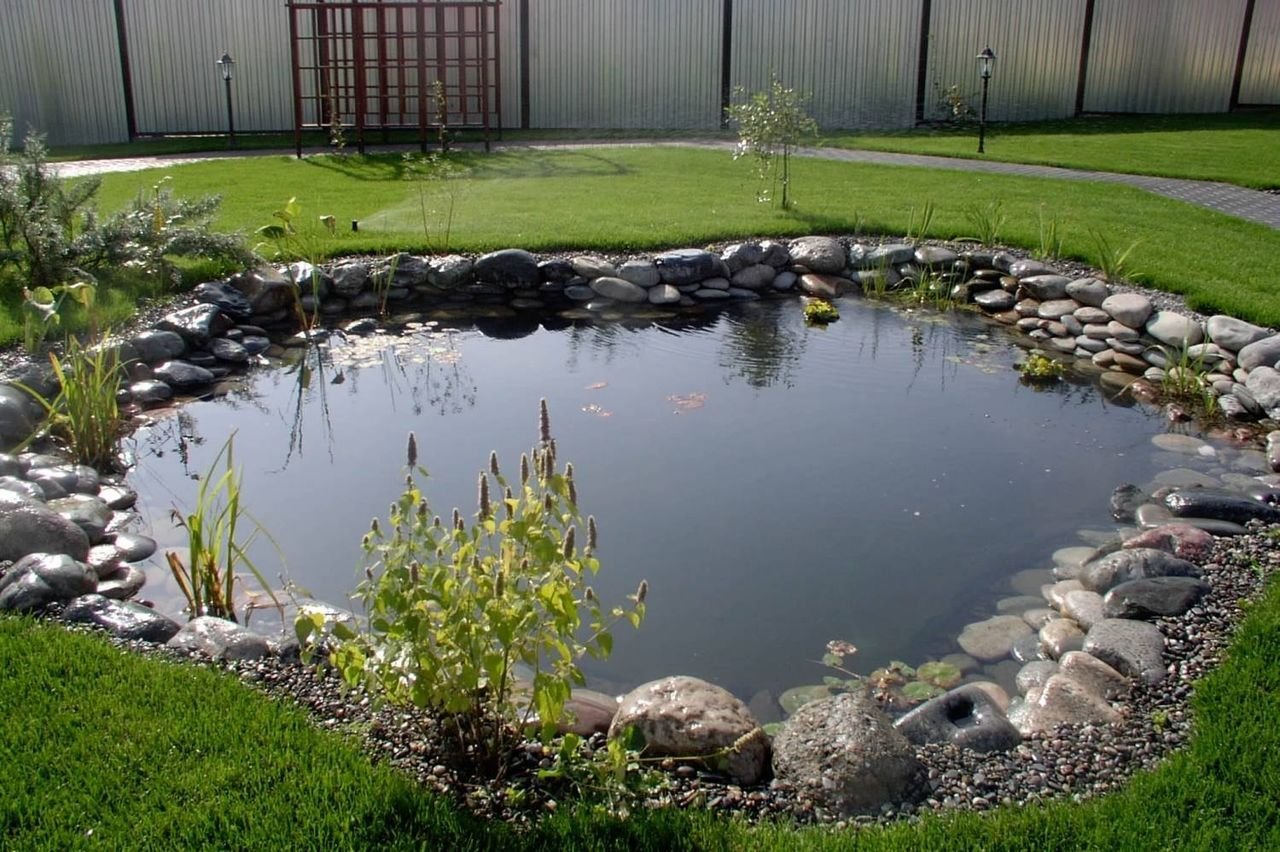 7 главных правил организации садовых прудов и водоемов в саду