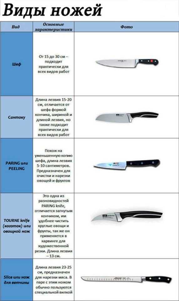 Как отличить нож. Типы кухонных ножей и их Назначение. Формы кухонных ножей. Название кухонных ножей. Разновидность ножей для кухни.