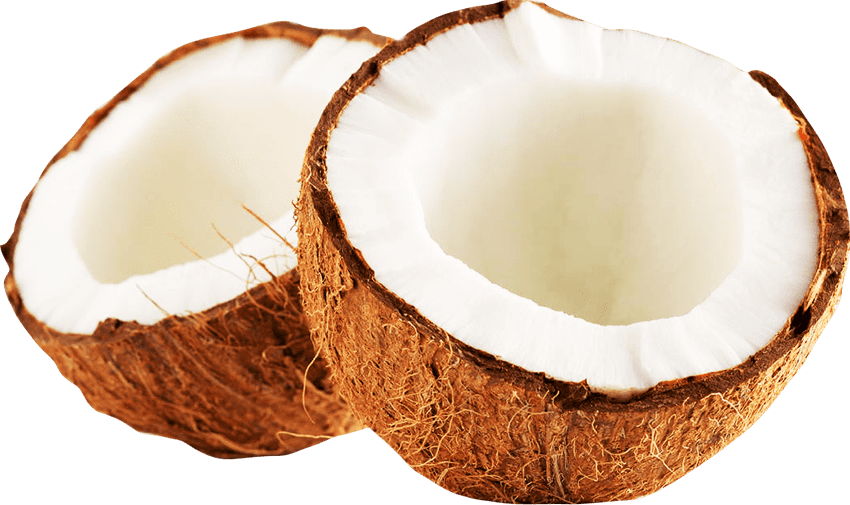 20 интересных фактов о кокосовой пальме и кокосе, в которые трудно поверить