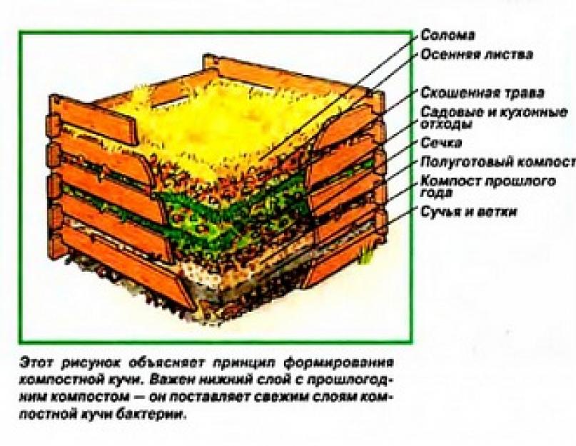 Варианты изготовления компостной ямы своими руками: фото