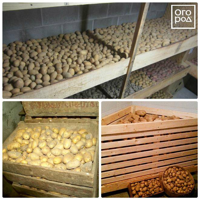 Хранение картофеля зимой дома • на балконе, без погреба