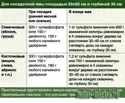 Схема подкормки плодовых деревьев