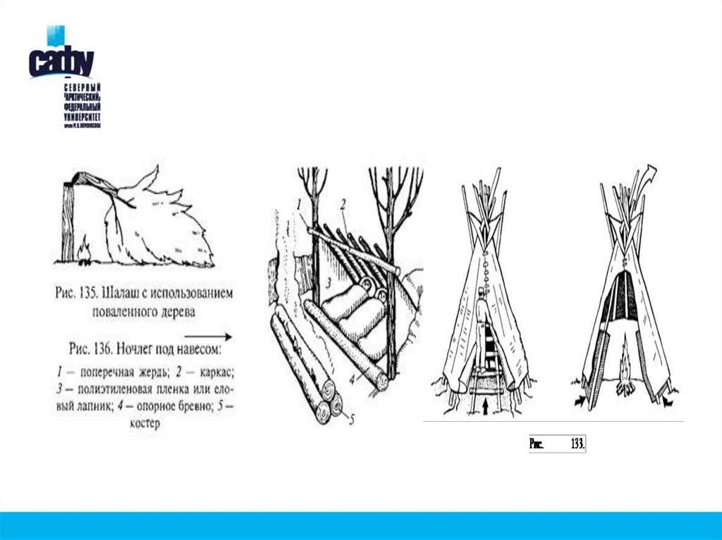 Как построить шалаш своими руками: сооружение убежищ из веток в лесу