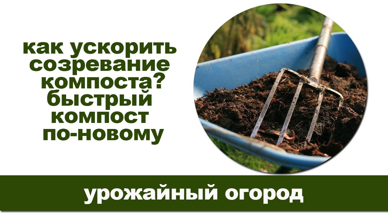 Ускорение компоста: препараты для быстрого созревания