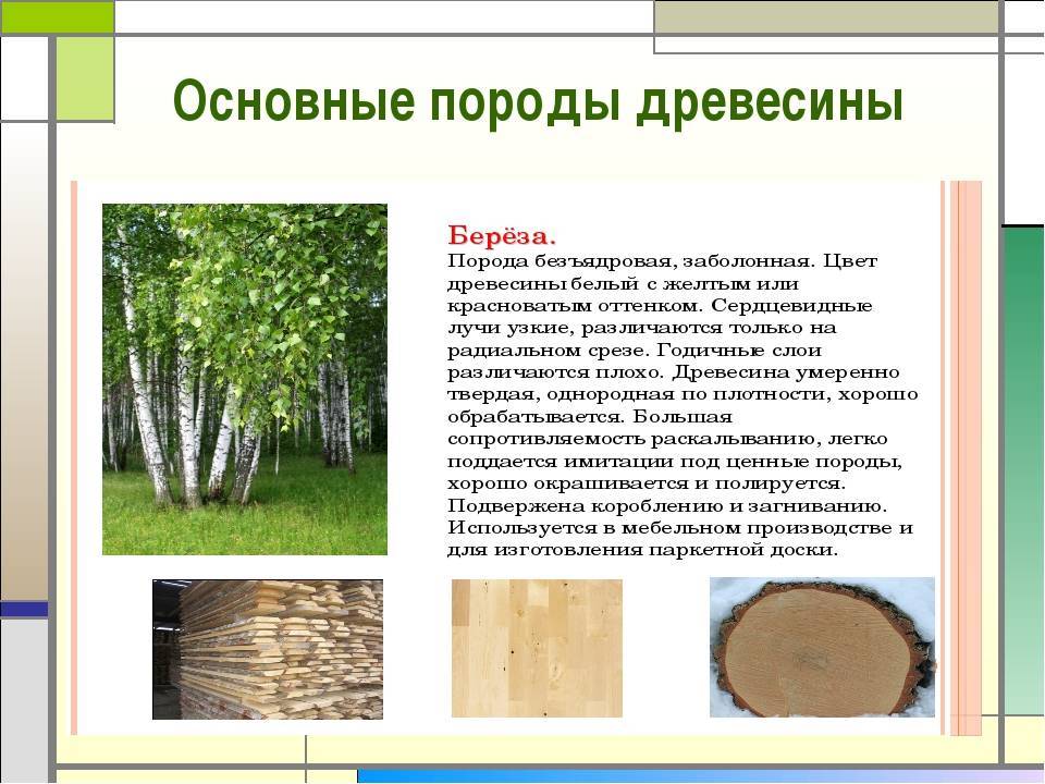 Строительство домов из хвойных пород деревьев. плюсы и минусы разных типов древесины. на сайте nedvio