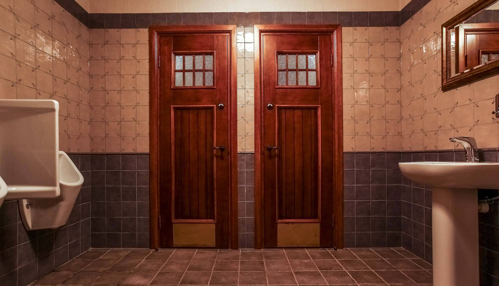 Какие двери для ванной и туалета выбрать?