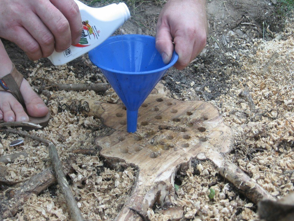 Как убрать пень от дерева без выкорчевывания: эффективные способы без усилий