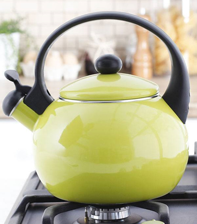 Качественные газовые чайники. Зеленый чайник для газовой плиты мегсury haus 3 литра МС- 7828. Zhujie kettle чайник. Чайник зеленый для газовой плиты со свистком. Дизайнерский чайник для газовой плиты.
