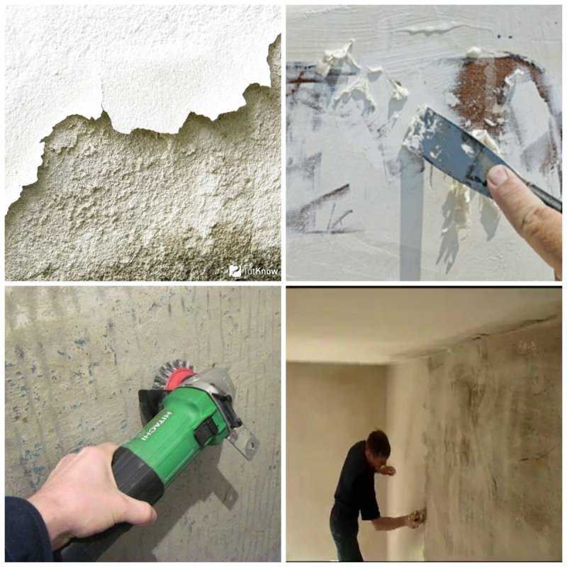 Как подготовить побеленные стены к поклейке обоев: можно ли клеить на обработанные известью или гашенной побелкой стены, рекомендации, как правильно подготовить поверхность
