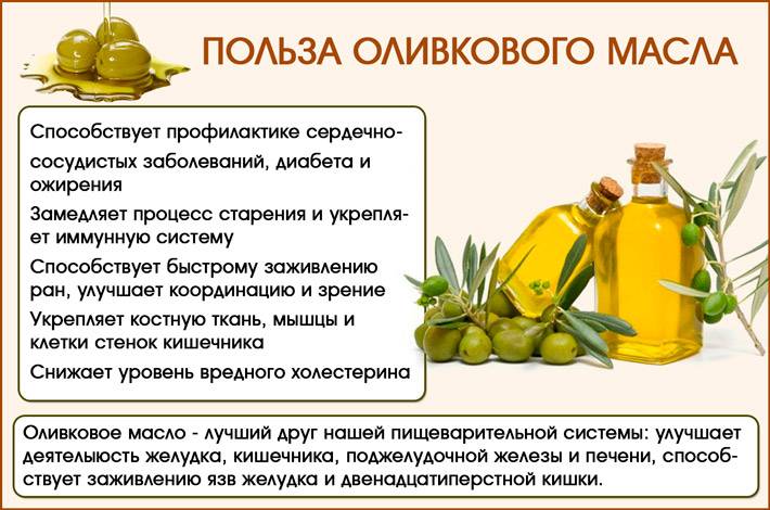 Как правильно хранить оливковое масло - основные правила