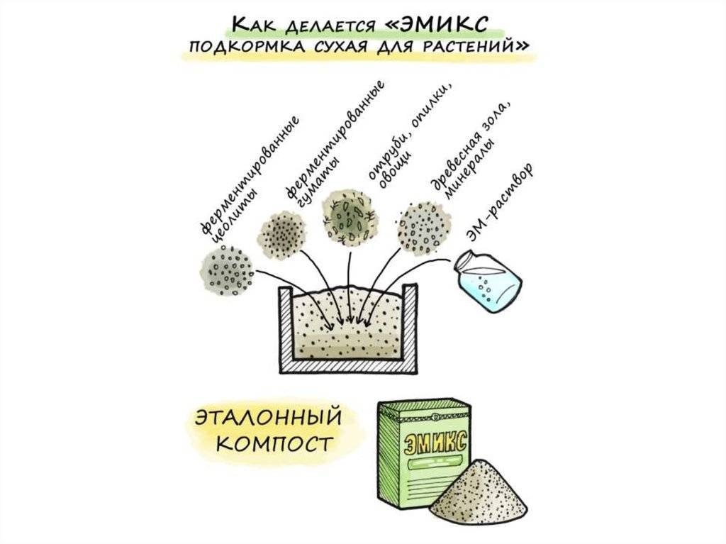Как ускорить созревание компоста: механический и препаратный метод