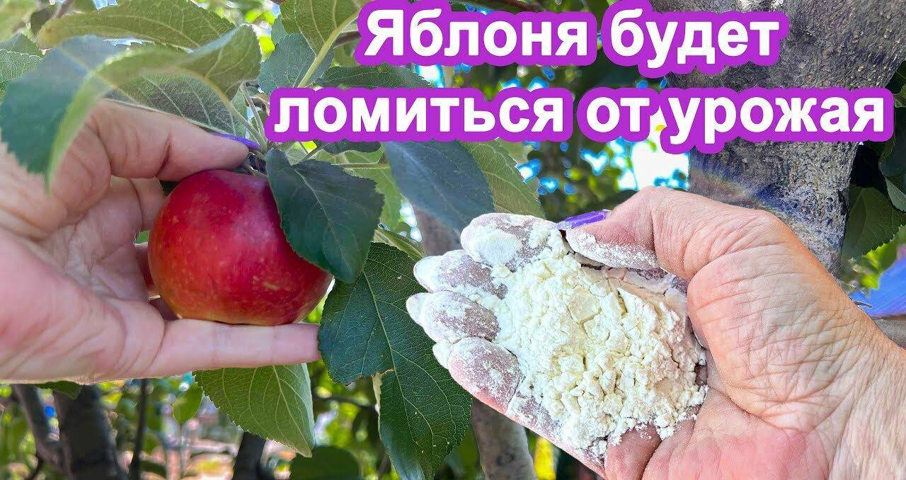 Натуральные удобрения для сада топ-10 весенних и осенних подкормок!