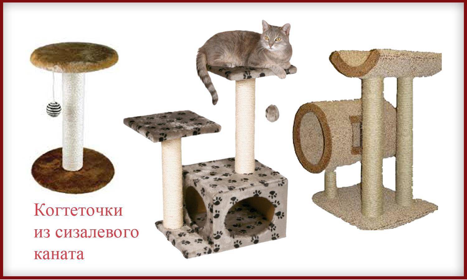 Домики для кошек и котов: нюансы выбора — domovod.guru