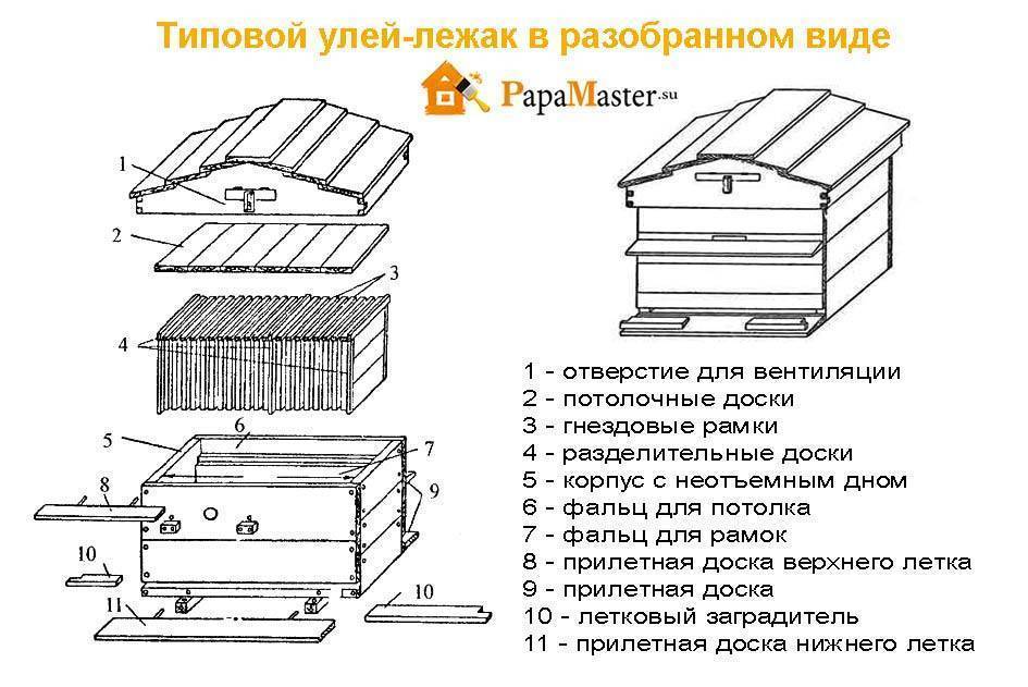 Как своими руками сделать улей для пчел своими руками чертежи видео