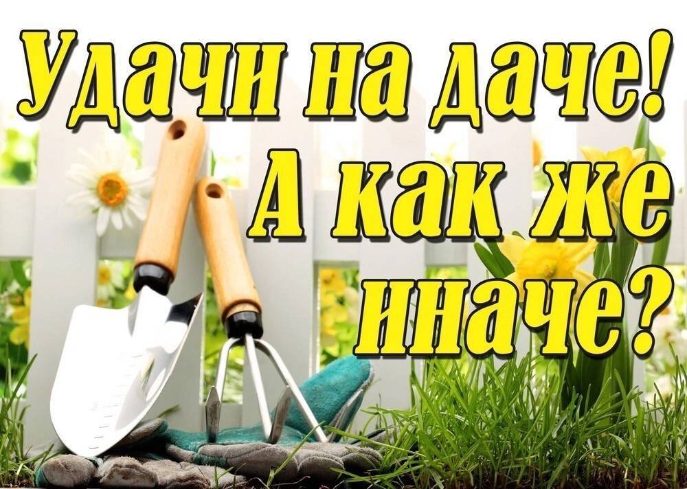 Альтернативный сад и огород устройство видео – узкие грядки органическое земледелие
