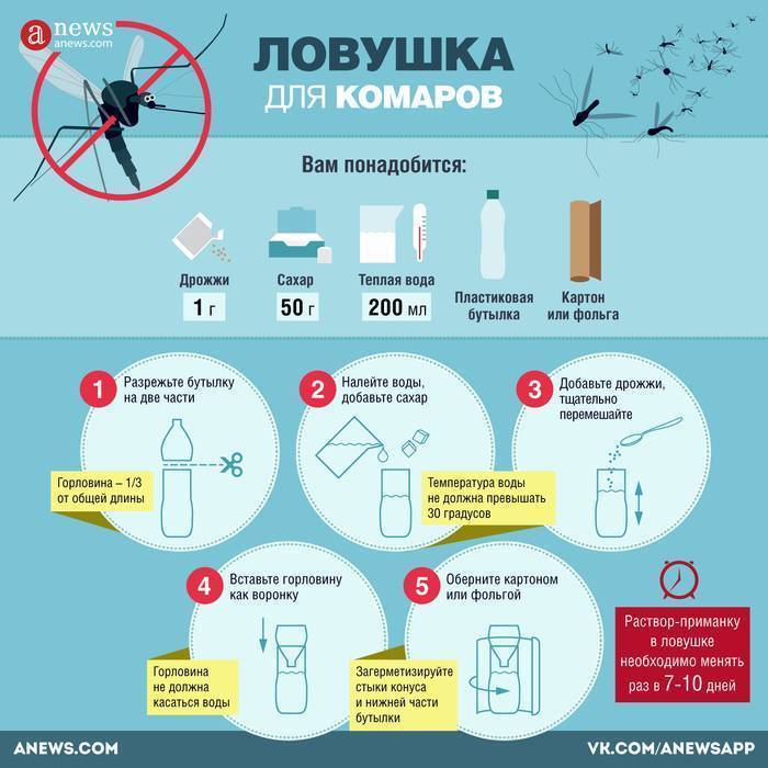 Как избавиться от комаров на дачном участке: чем обработать и как отпугнуть