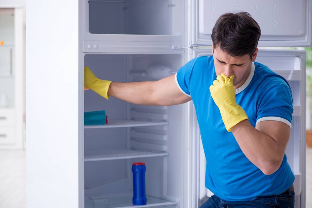Убрать запах из холодильника народными средствами: чем мыть, чтобы вывести аромат, что положить, чтобы удалить неприятное амбрэ?