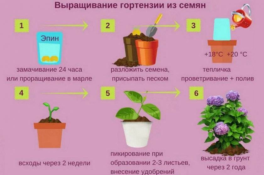 Весенняя обработка сада – пошаговый план (6 обязательных этапов)
