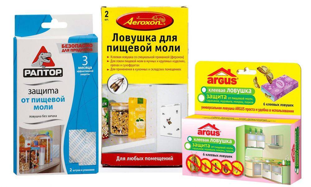 Как избавиться от пищевой моли на кухне