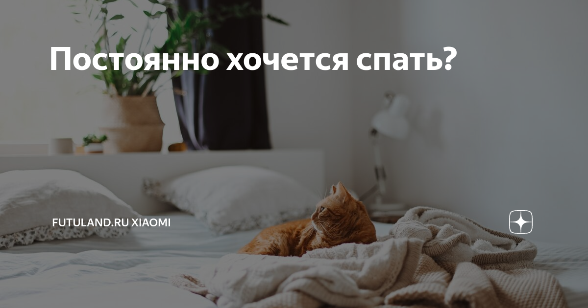 Как взбодриться ночью, утром или на работе, если хочется спать