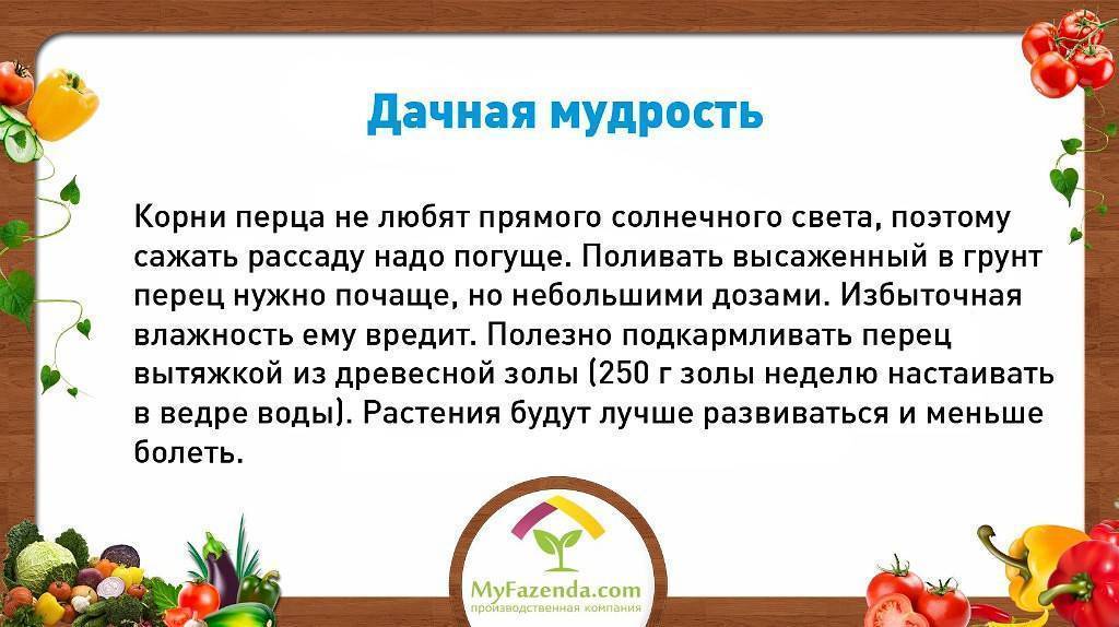 Как защититься от змей на даче и в лесу