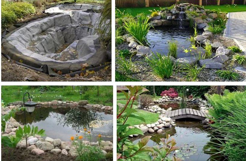 7 главных правил организации садовых прудов и водоемов в саду