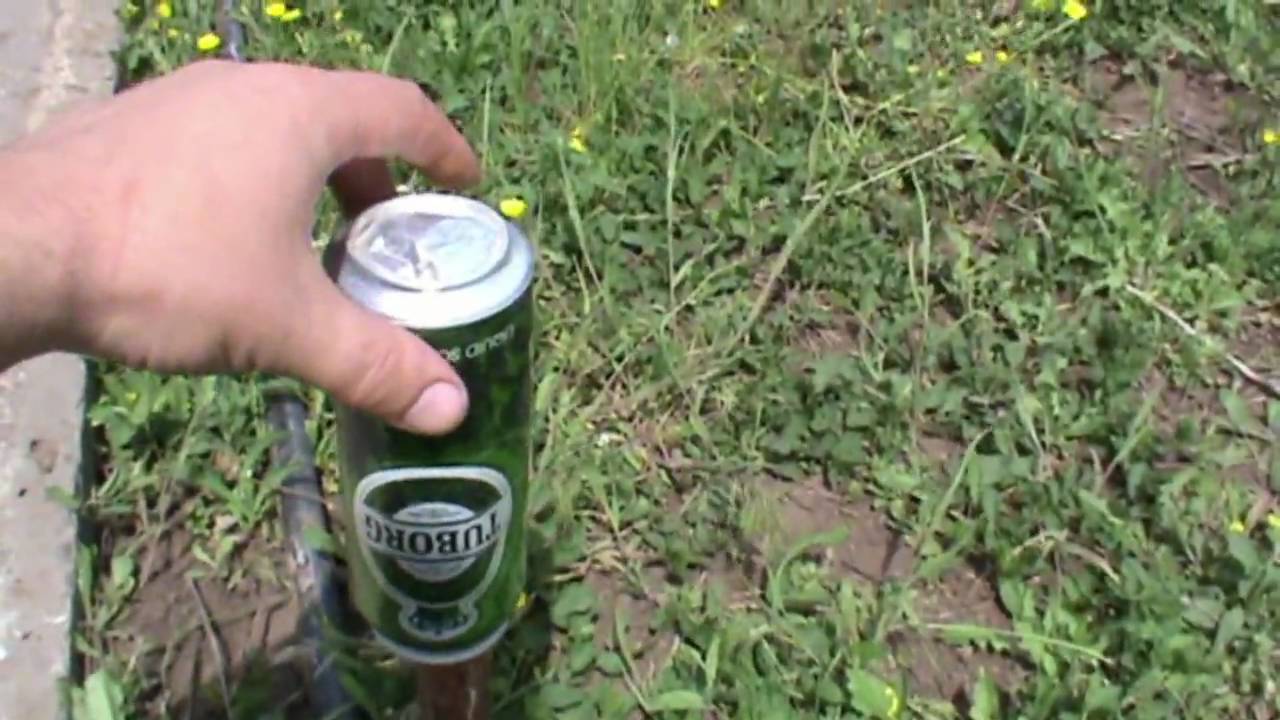 Как прогнать крота с участка: простые и надёжные способы