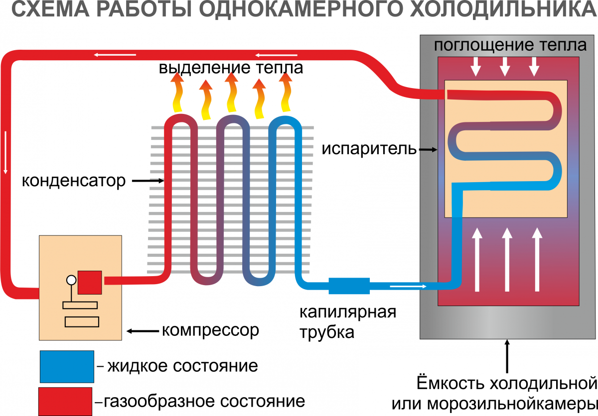 Принцип работы холодильника: устройство, компрессора, электрическая схема, как устроен, для новичка, простыми словами, действия, бытового, принципиальная
