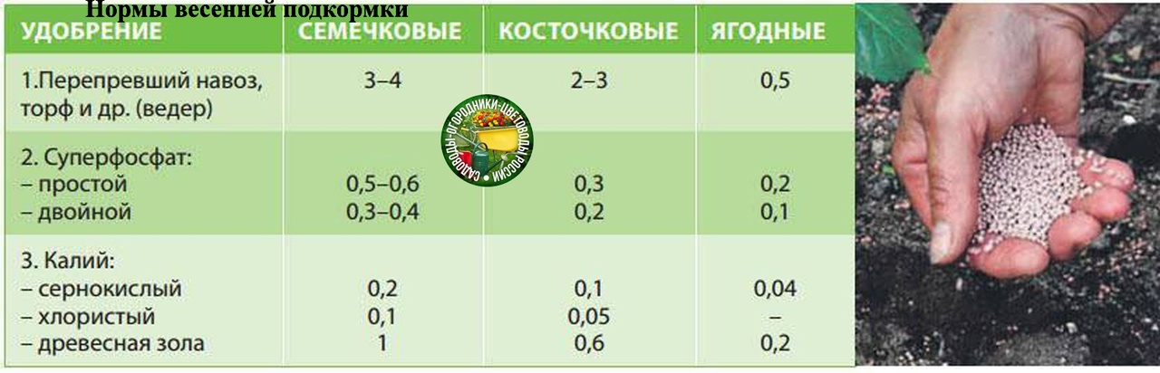 Схема удобрения картофеля