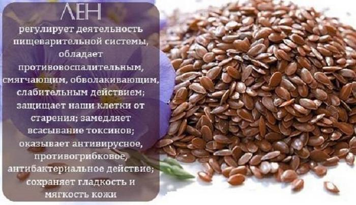 Льняное семя — польза, как принимать, противопоказания — женский калейдоскоп