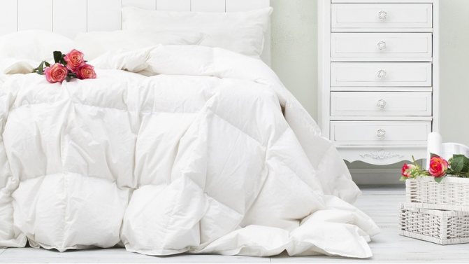 Какое одеяло лучше выбрать: всё о правильном выборе одеяла, советы эксперта
