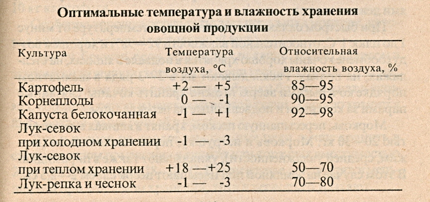 Как хранить картошку в квартире и погребе, и можно ли: 5 простых способов