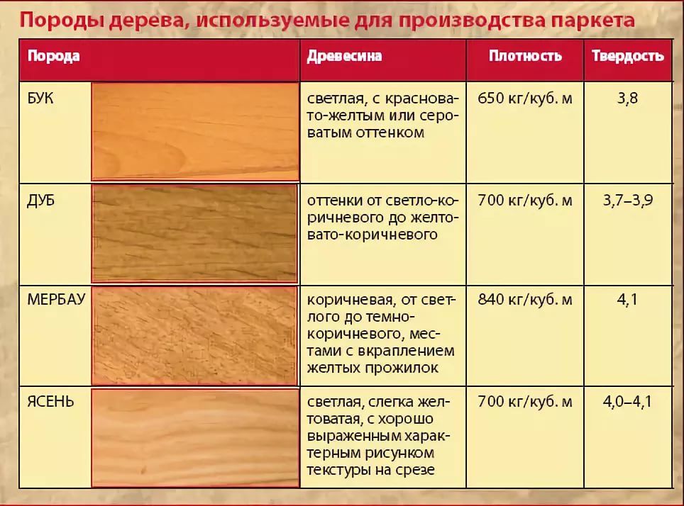 Топ самых крепких пород дерева в россии. самые прочные деревья в мире