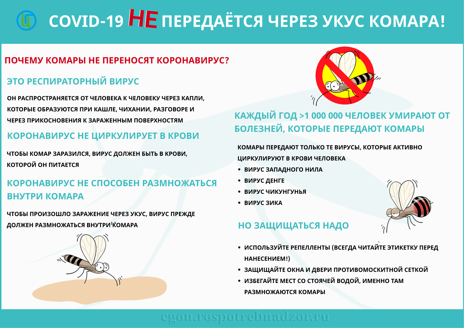 Сколько живет вирус covid-19 на различных поверхностях