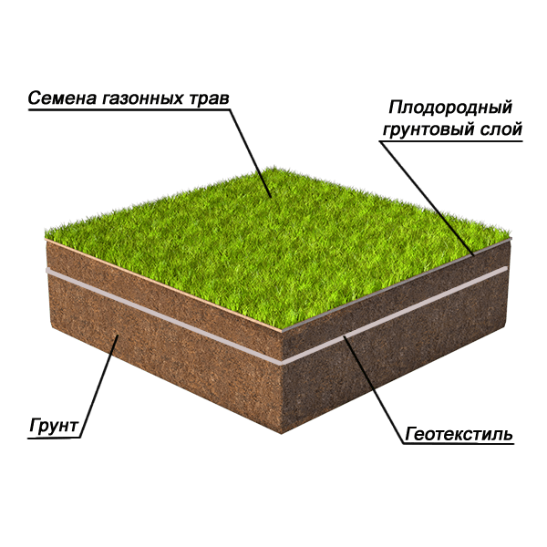 Подготовка почвы под газон своими руками (в том числе под рулонный)