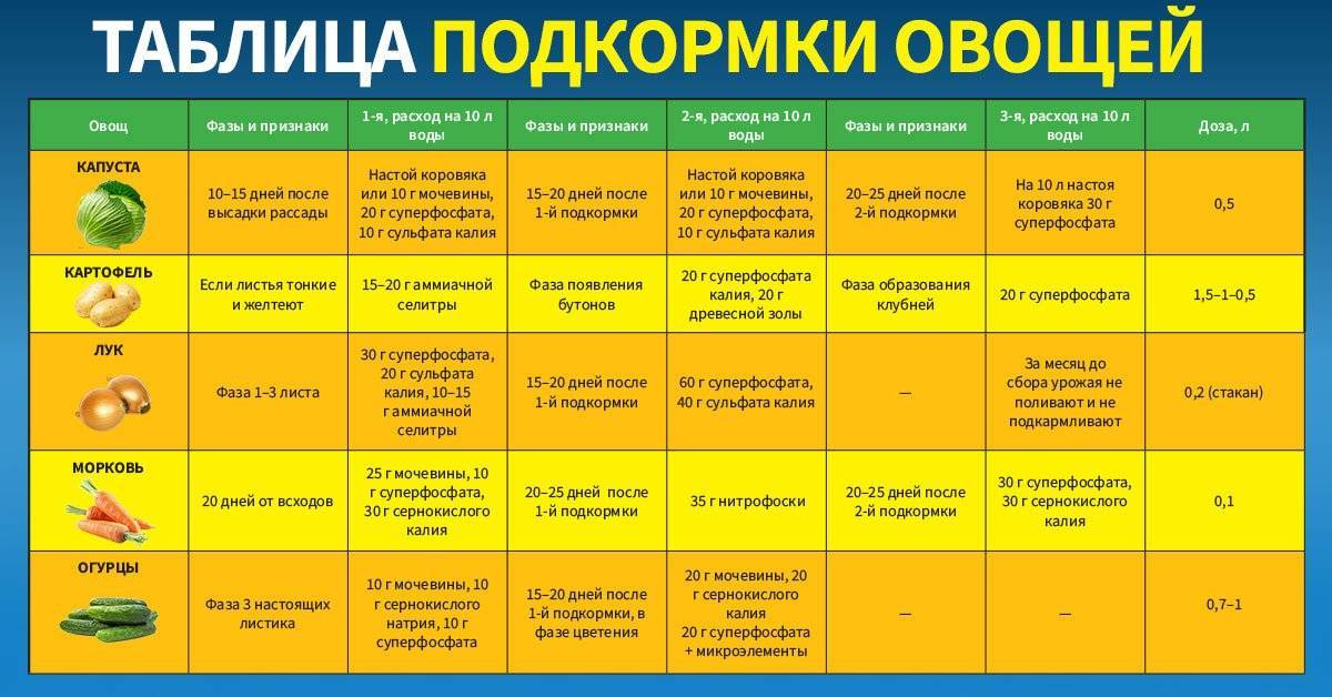 Чем подкормить огурцы (6 самых эффективных методов)