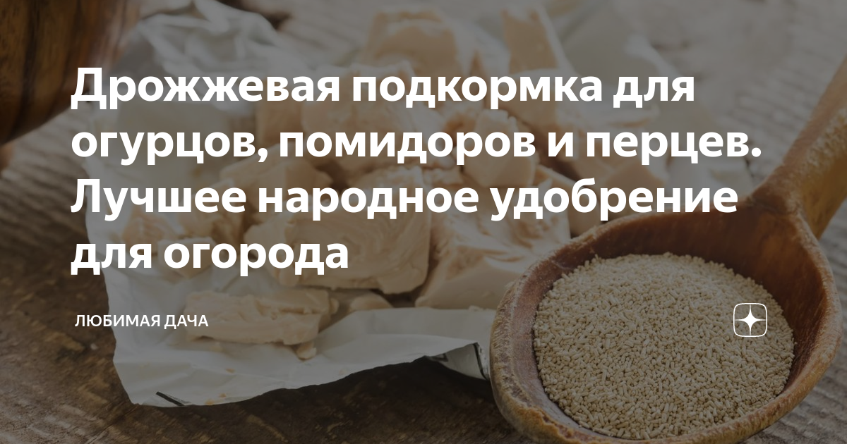 Подкормка огурцов помидоров перца. Подкормка огурцов дрожжами. Удобрение из дрожжей для огурцов. Дрожжевая подкормка. Удобрение из дрожжей для рассады огурцов.