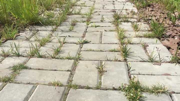 Как можно хитро заделать щели в тротуарной плитке, чтобы трава не портила вид