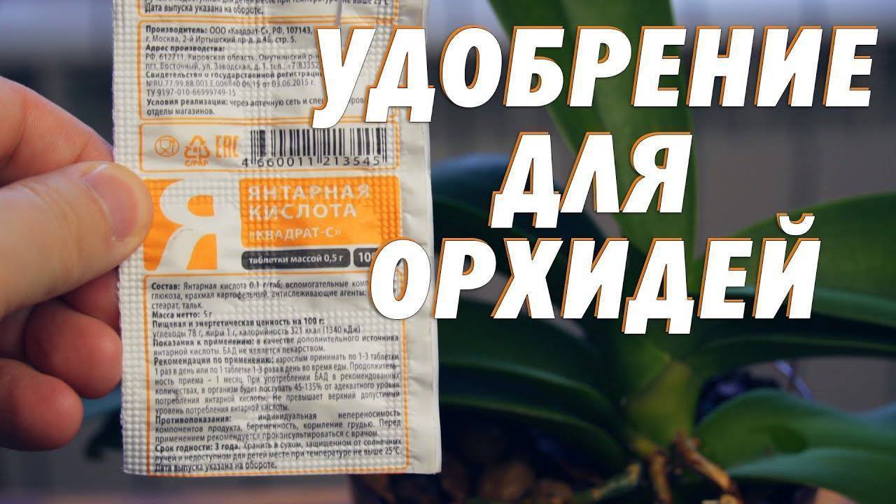 Янтарная кислота для растений: инструкция по применению