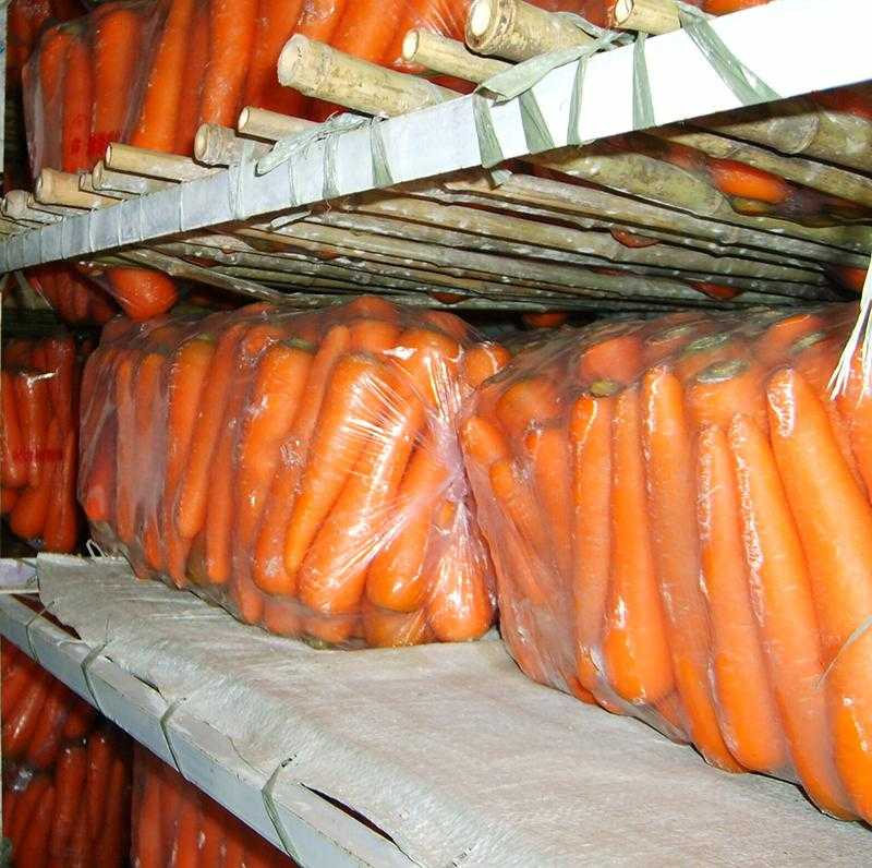 Как хранить морковь в квартире. Ящик для хранения моркови. Хранение моркови в полиэтиленовых мешках. Ящик для хранения моркови в погребе. Упаковка и хранение корнеплодов.