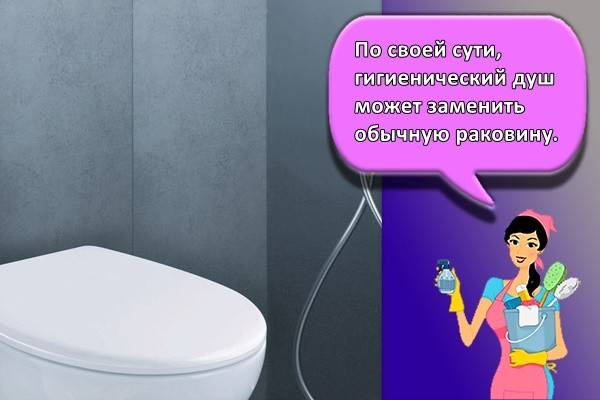 11 лучших гигиенических душей - рейтинг 2021