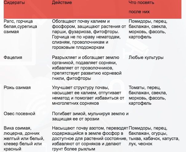 Лучшие сидераты для огорода: когда сеять и когда закапывать