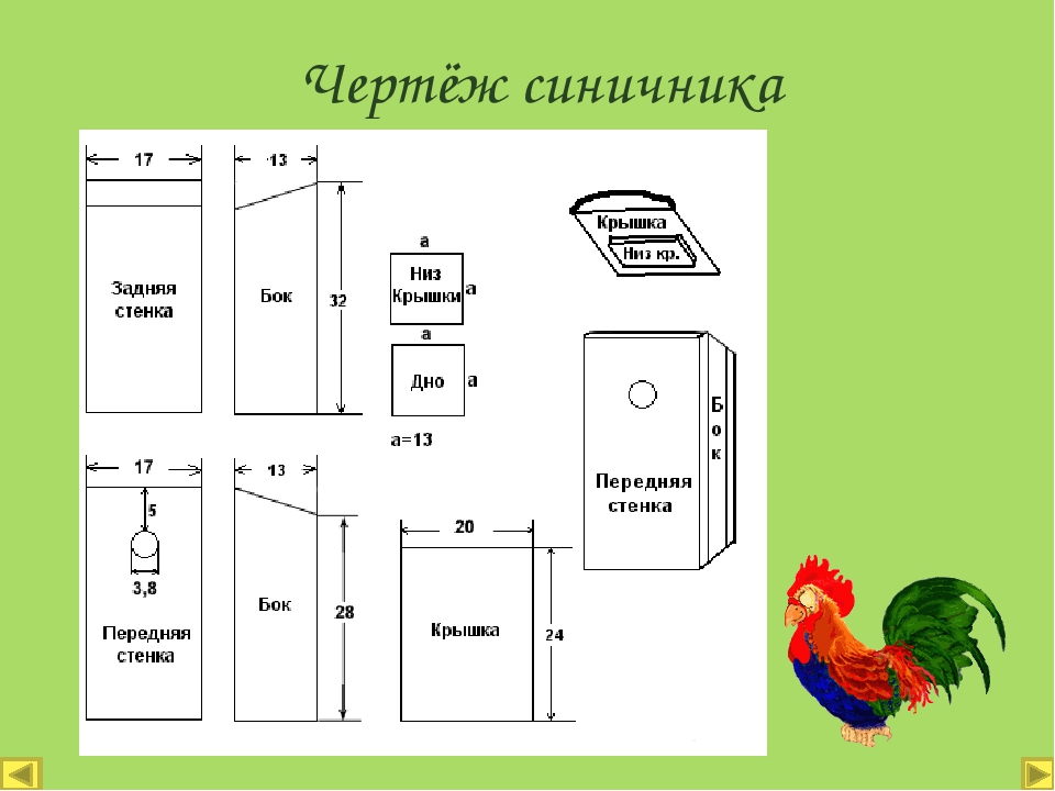 Как сделать синичник чертеж