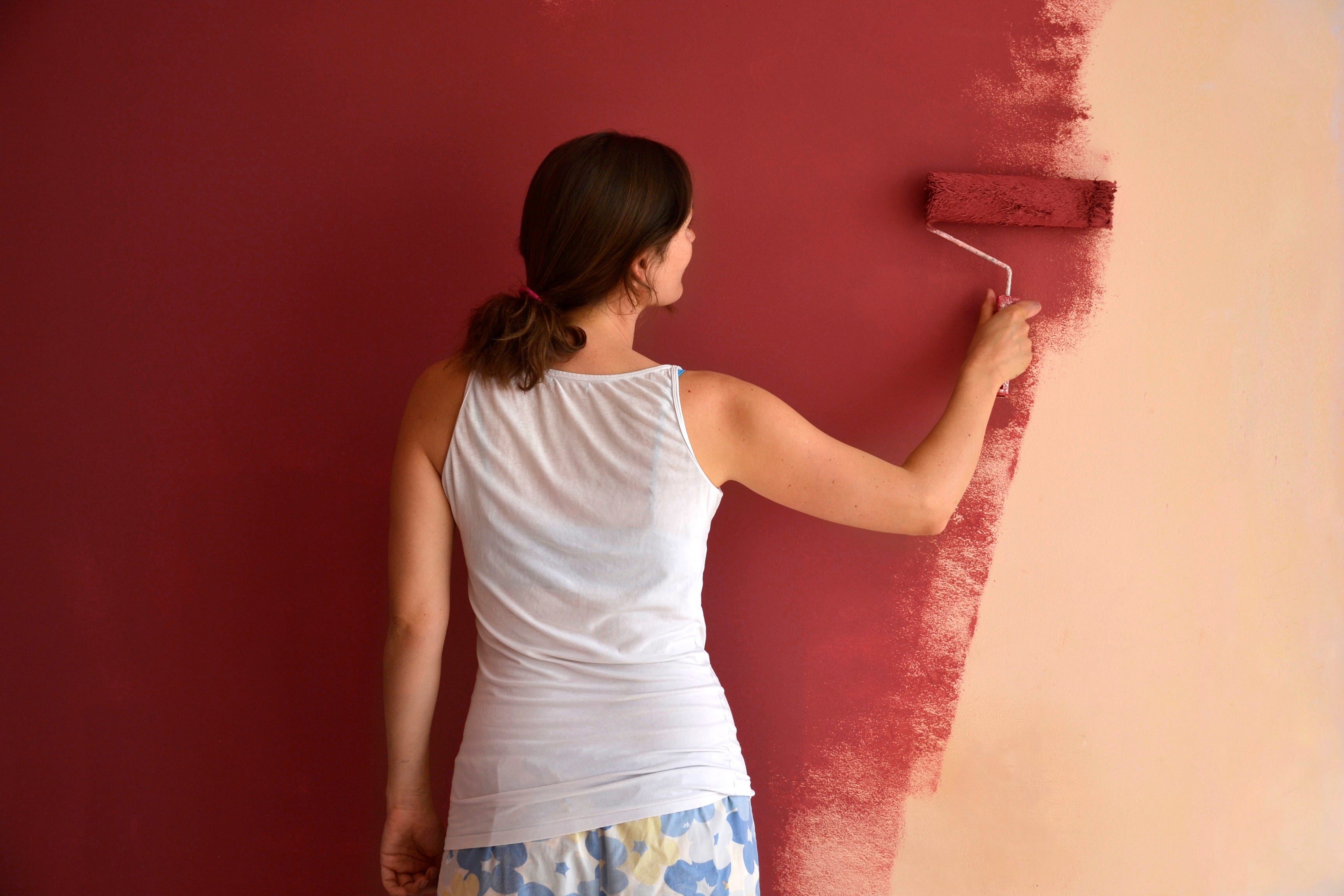 Что лучше обои или покраска стен: критерии выбора, плюсы и недостатки