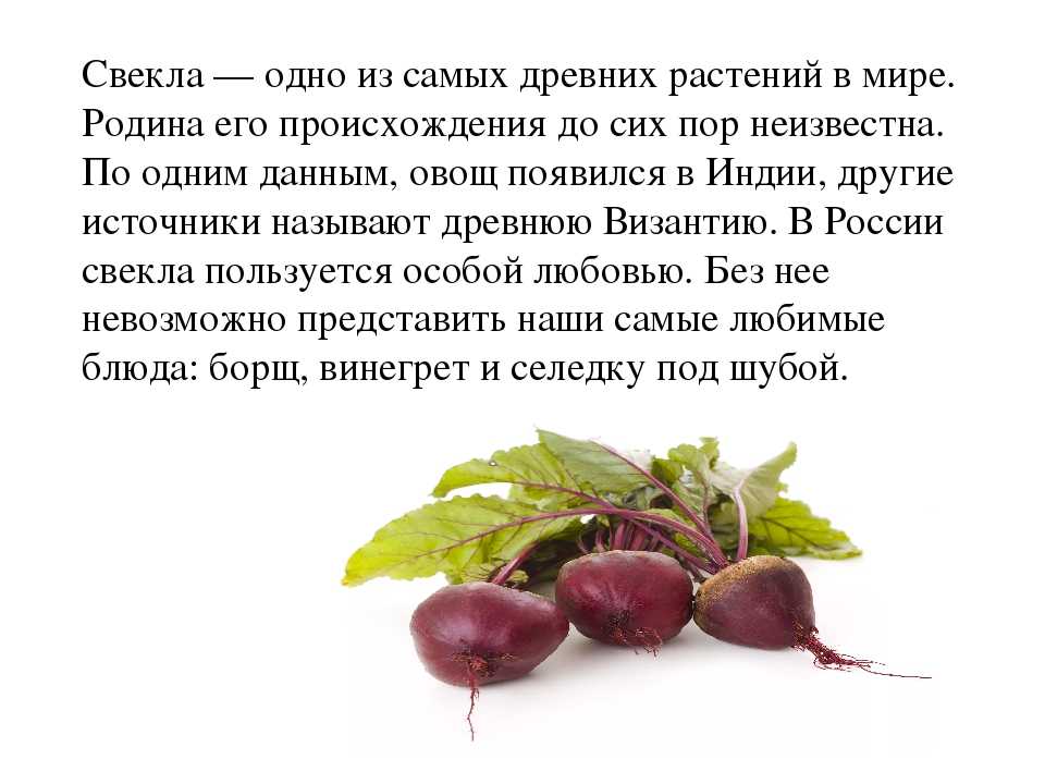 Свекольная диета для похудения
